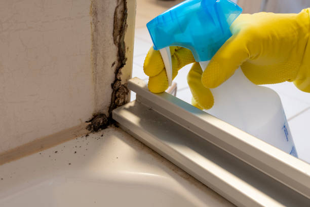 Best Office Mold Removal Services  in Mcswain, CA