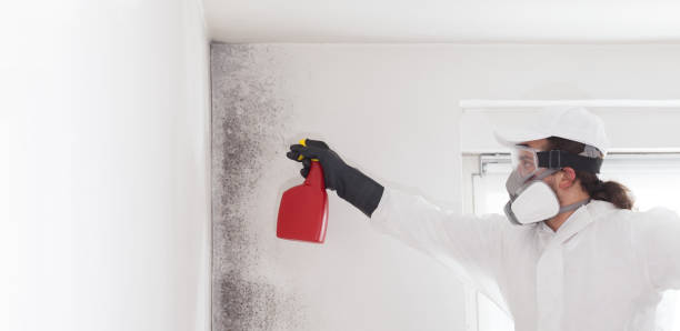 Best Mold Testing  in Mcswain, CA